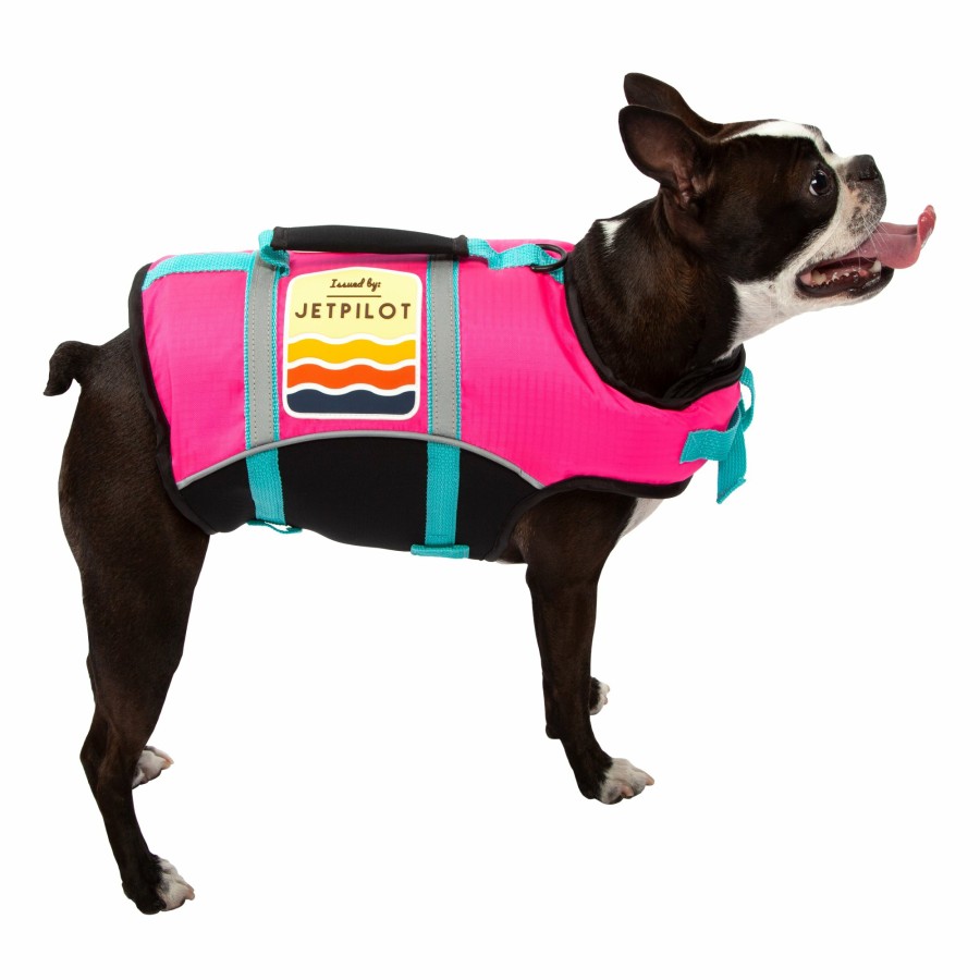 Accessories Jetpilot DOGS | Jp Dog Pfd